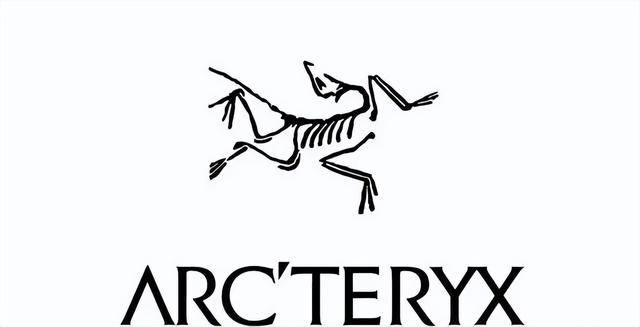 的全球十大运动品牌盘点下！bsport体育屹立不倒